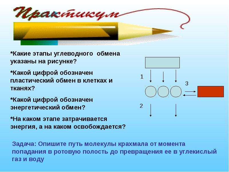 На каком рисунке правильно указаны направления передачи давления производимого поршнем сжимающим газ