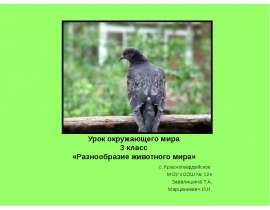 Урок окружающего мира 3 класс «Разнообразие животного мира» с. Красногвардейское МОУ «СОШ № 12» Завалишина Т.А. Марцинкевич