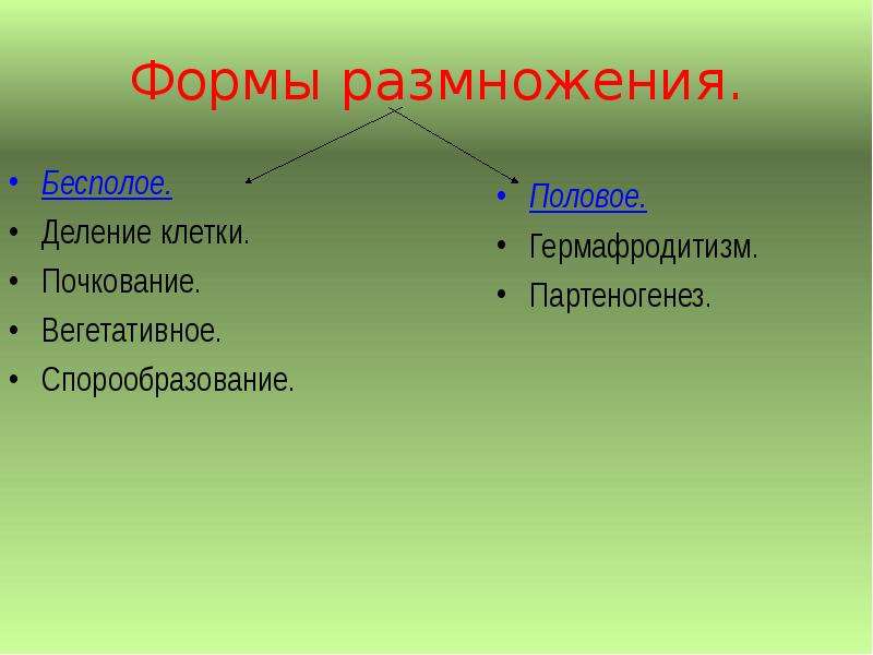 Презентация на тему размножение и развитие организмов