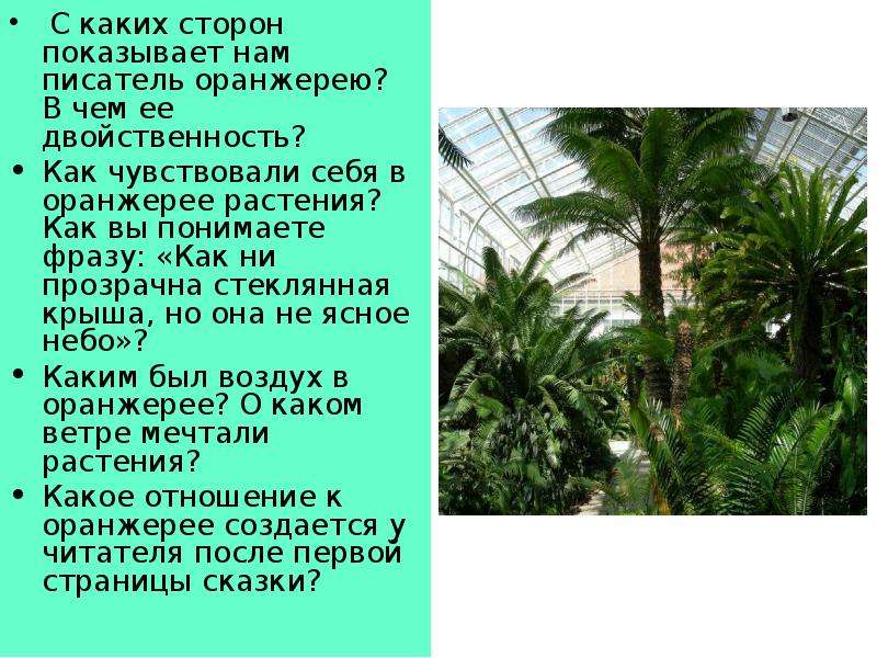 Презентация 5 класс гаршин аталия принцепс