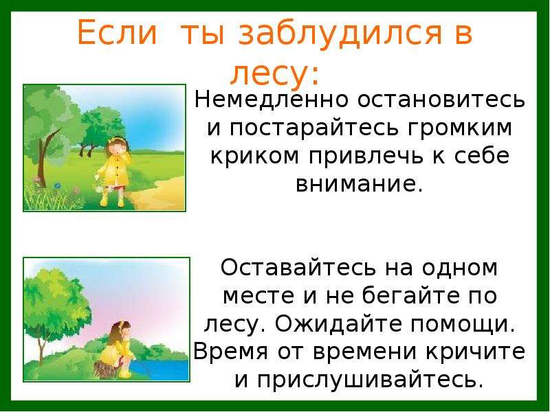 Подробнее о лесных опасностях 2 класс окружающий мир проект