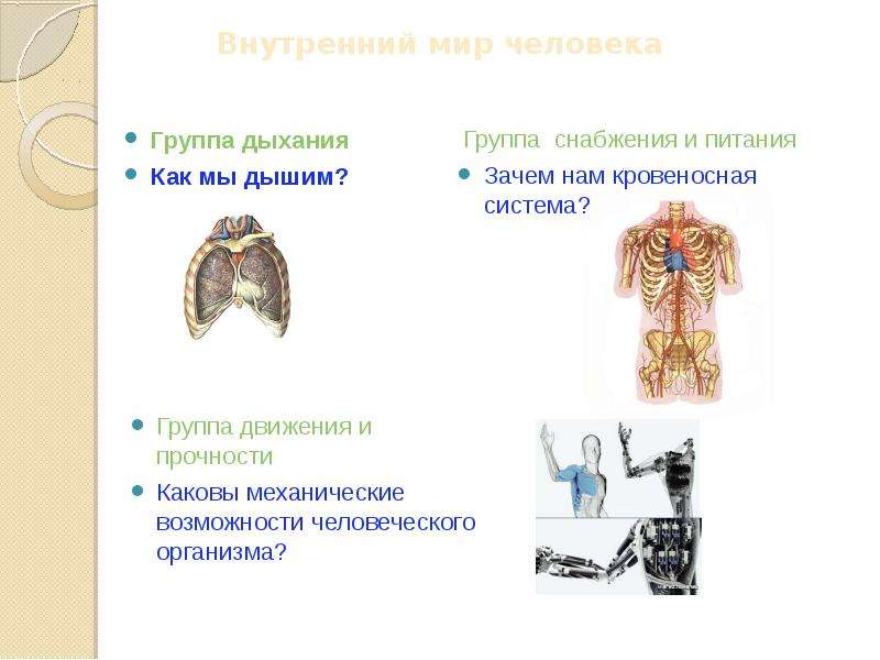 Как мы дышим 3 класс естествознание. Зачем мы дышим. Как дышит береза. Как мы дышим физика. Зачем мы дышим биология 8 класс.