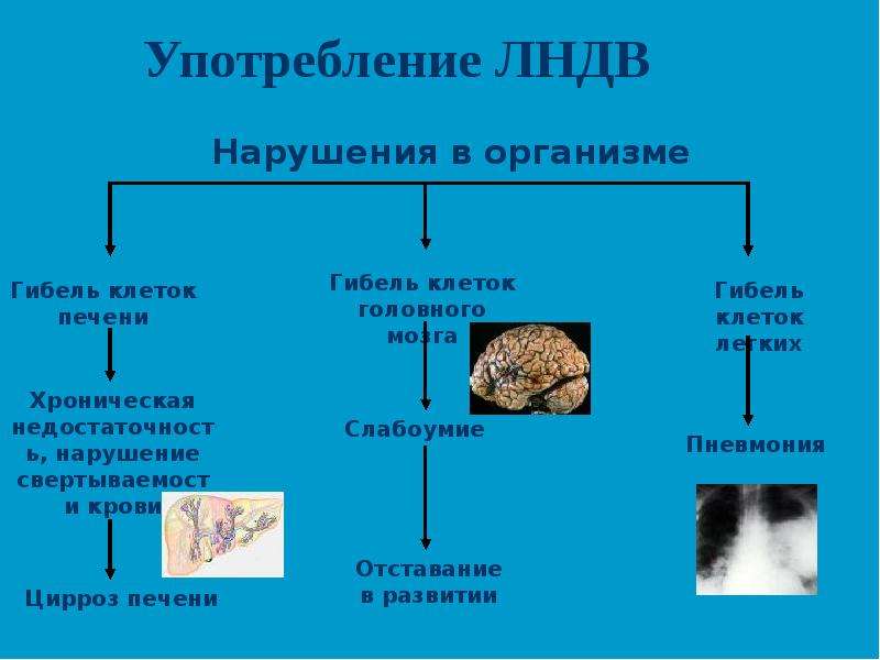 Гибель организмов. Летучие наркотически действующие вещества (ЛНДВ).. ЛНДВ. Употребление ЛНДВ что это. Нарушения в организме.