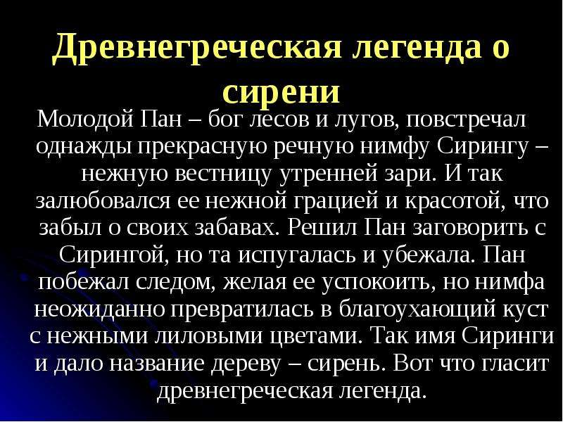 Заря сочинение. Утренняя Заря сочинение. Сирень миф. Феномен утренней зари. Сочинение по картине Кончаловского сирень в корзине.