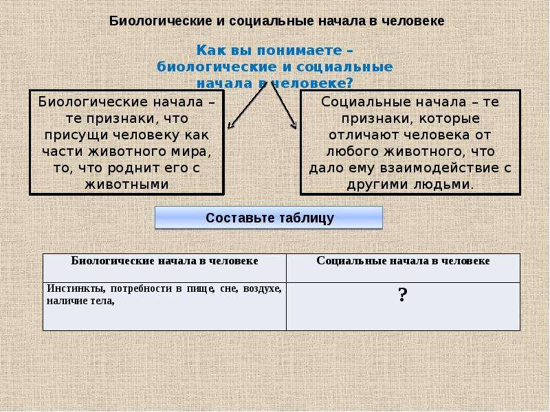 Биологическое и социальное. Социальные начала в человеке. Биологическое и социальное в человеке. Биологические и социальные признаки человека. Биологическое и социальное начало в человеке.