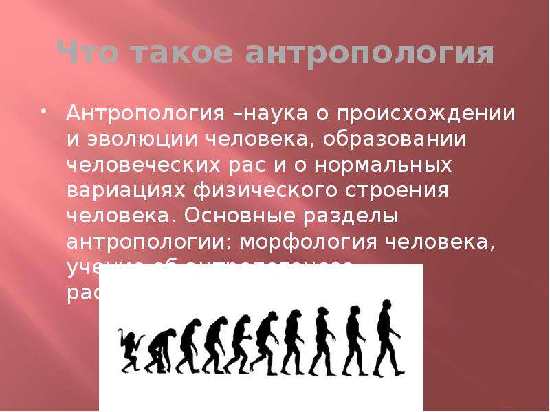 Что такое антропология. Антропология. Антропология презентация. Экологическая антропология. Антропология это кратко.