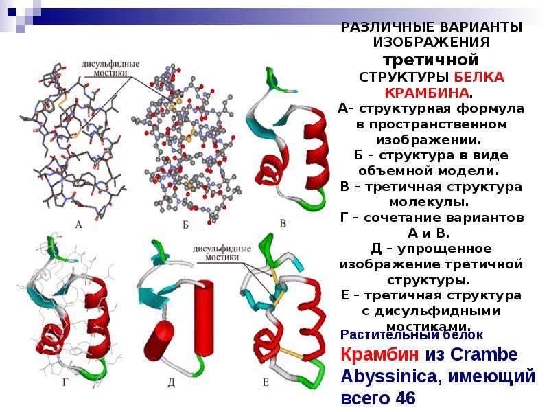 Пептидная структура белка. Формула молекулы третичной структуры белка. Структура белка химия формула. Дисульфидные мостики в белках. Третичная структура белка формула.