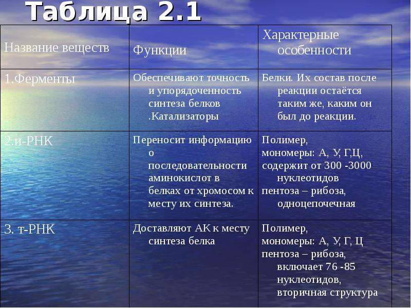 Основа вещества. Обмен веществ основа существования клетки таблица. Обмен веществ основа существования клетки. Обмен веществ в клетке таблица. Обмен веществ и энергии в клетке таблица.