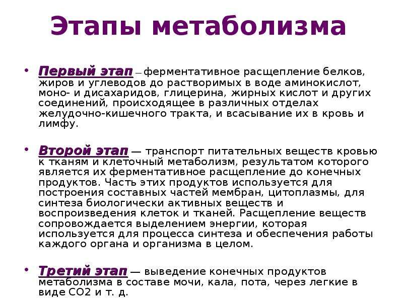 Последовательность этапов обмена веществ. Этапы обмена веществ. Этапы метаболизма. Основные этапы обмена веществ в организме. Этапы белкового обмена.