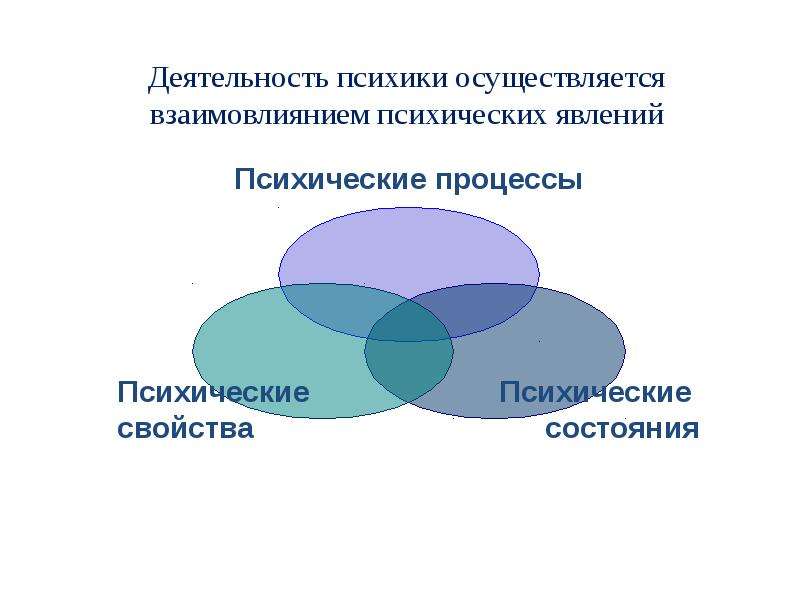 Деятельность психики. Деятельность и психические процессы. Активность психики. Круг явлений психического.