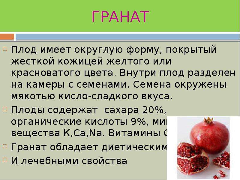 Описание плодов. Сообщение о гранате. Интересная информация про плоды. Доклад о плодах. Сообщение о гранате фрукте.