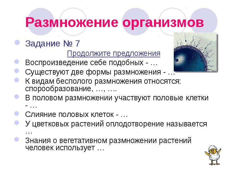 Воспроизведение себе подобных это. Задачи размножения организмов. Продолжи предложения воспроизведение себе подобных это. Воспроизведение себе подобных называется. Задачи и формы разведения.