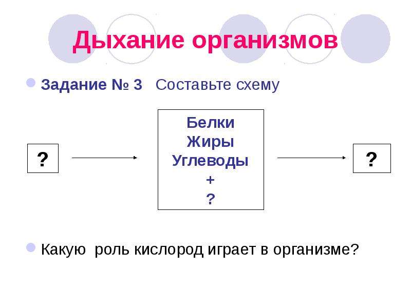 Дыхание организмов 10 класс