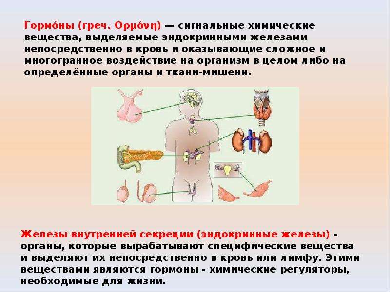 Жизнедеятельность органов. Регуляция жизнедеятельности организмов презентация. Регуляция процессов в организме в биологии. Презентация регуляция функций в организме. Биология 8 класс регуляция процессов жизнедеятельности.