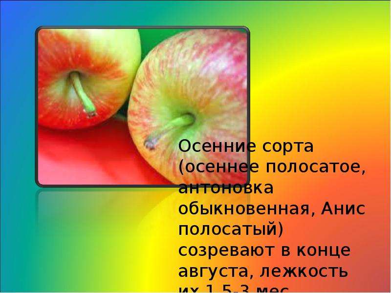 Презентация Характеристика Сетеческовых, слайд №9