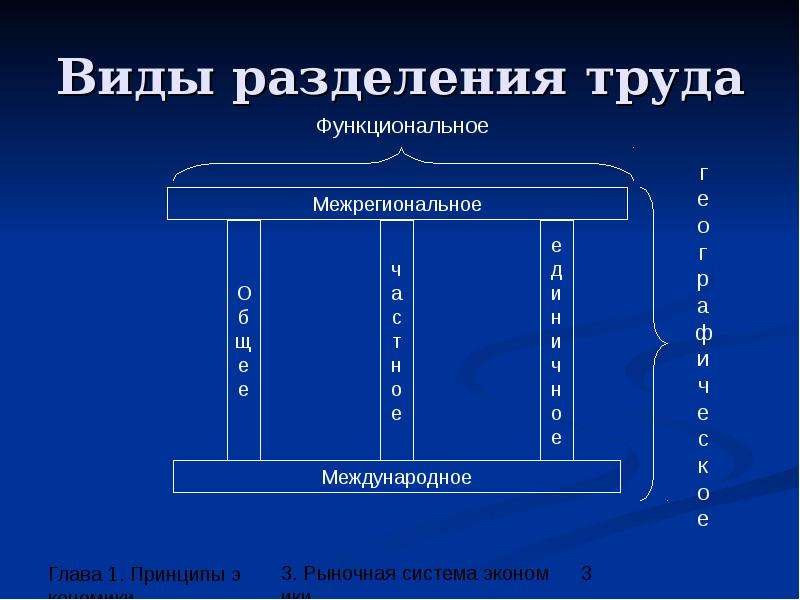 Рыночные принципы. Три вида разделения труда Энгельс. Вид разделения 2а. Принципы рыночной системы. Типы разделения команд.