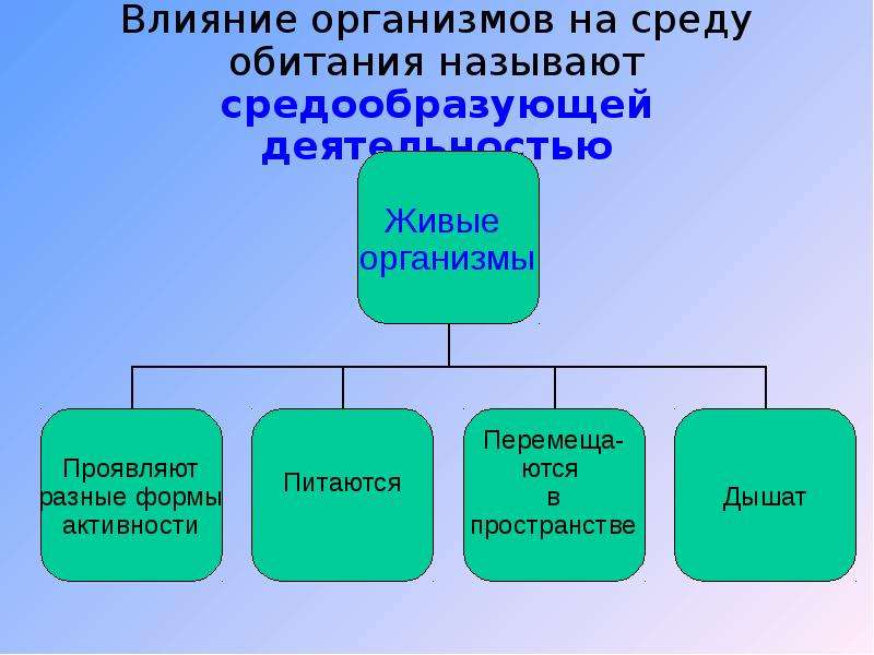 Средообразующая деятельность организмов презентация