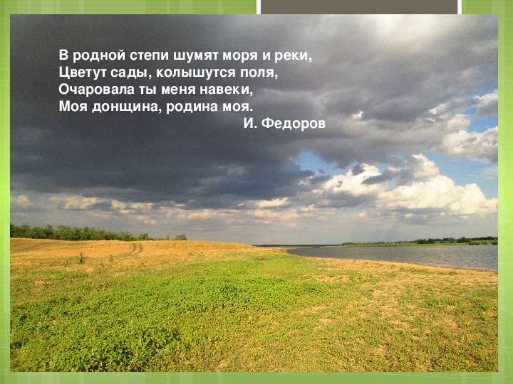 В описание картины жизни степной природы вплетаются эпизоды со встречными на пути людьми сонной