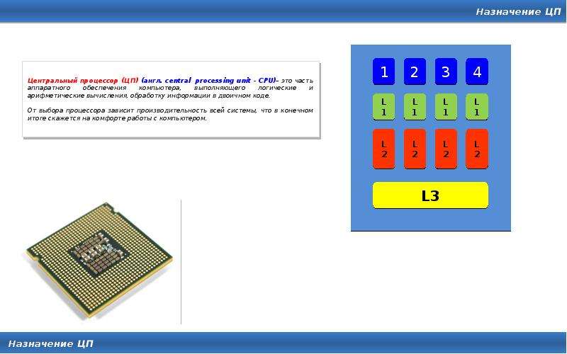Части цп. Процессор для презентации.