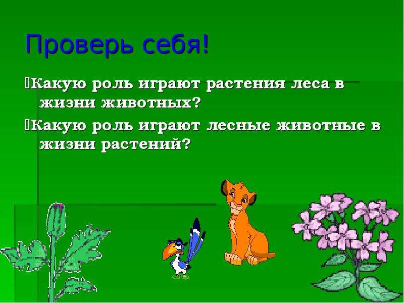 Какую роль играют в жизни растений. Какую роль играют растения в жизни. Какую роль играет лес в жизни животных. Роль растений в жизни животных. Растения в жизни животных 1 класс.