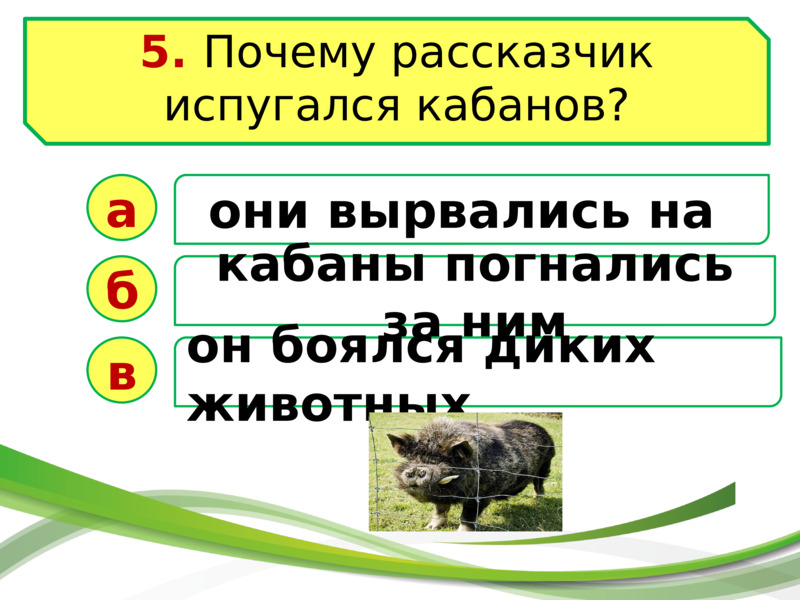 Чарушин кабан презентация 4 класс школа россии презентация