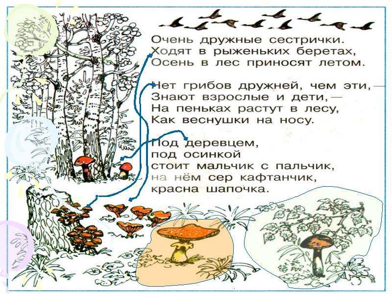 Почему их так назвали презентация 1 класс окружающий мир плешаков