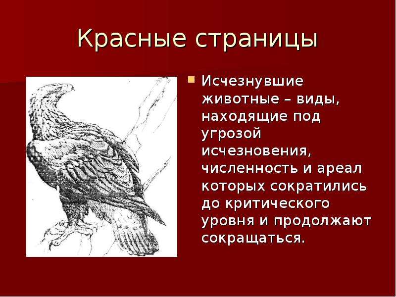 Исчезнувшие 7. Вывод для проекта исчезнувшие животные. Сообщение о вымерших животных. Виды страниц красная книга исчезающие страницы. Европейские виды под угрозой исчезновения.