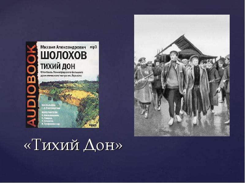 Тихий дон 6 часть 6 глава. Шолохов м. "тихий Дон". Шолохов тихий Дон книга. Тихий Дон книга иллюстрации. Тихий Дон краткий сюжет.