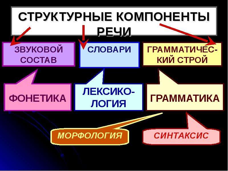 Речевые компоненты. Схема структурных компонентов речи. Структурные компоненты речи. Перечислите компоненты речи. Структурные компоненты речевой системы.