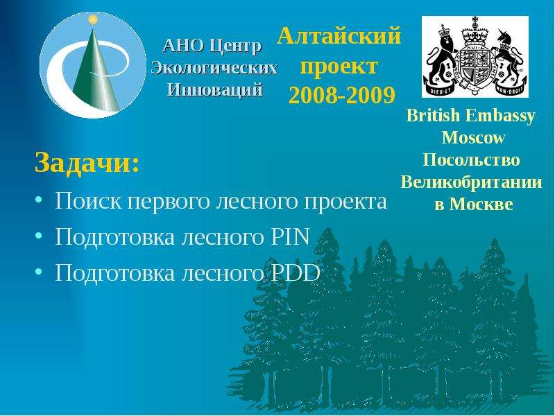 1 лесной ресурс. Стеценко Андрей Владимирович центр экологических инноваций. Олимпиада 