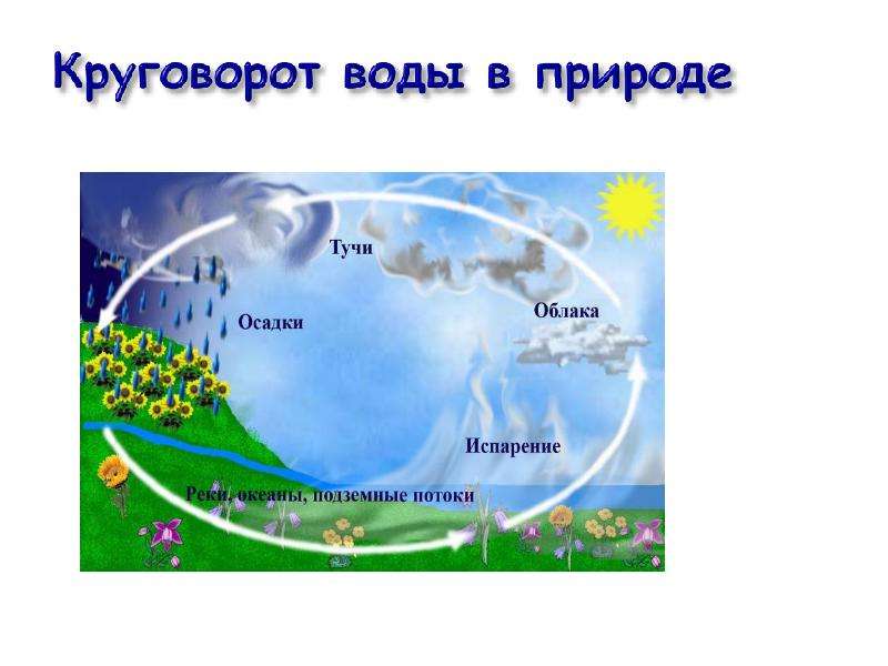 Презентация испарение и конденсация в природе