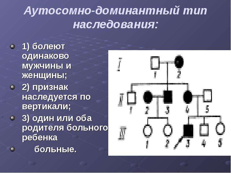 Презентация на тему наследование