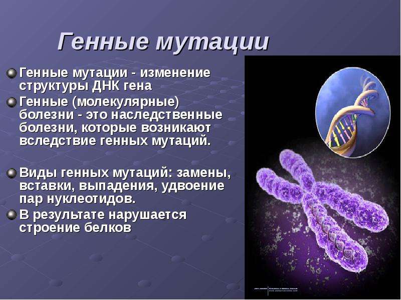 Презентация на тему наследственные заболевания человека