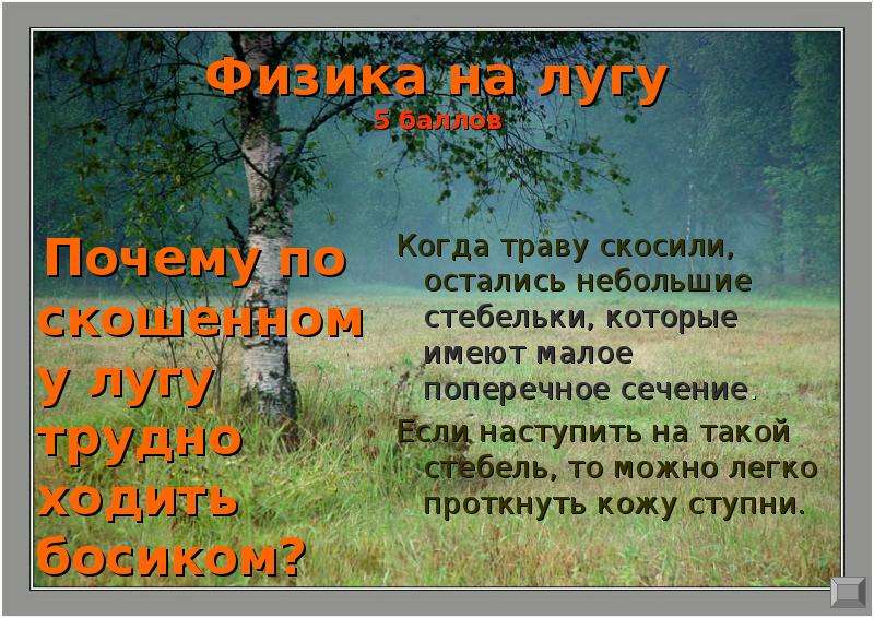 Не спросив совета луга не скошены. Незабываемый подвиг нескошенный луг. Еще не скошенные Луга как пишется. Язык как скошенный луг.