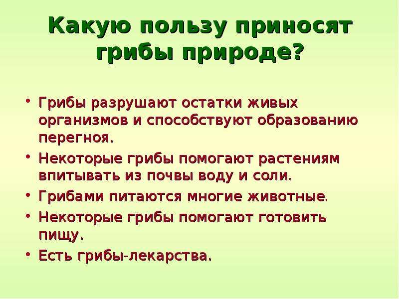 Какую пользу приносит дождь. Какую пользу приносят грибы природе. Какую пользу приносит. Какую пользу приносят пользу человеку. Какую пользу приносят человеку растения.