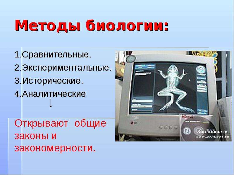 План-конспект урока 2 3законы менделя План-конспект урока 2 3законы менделя