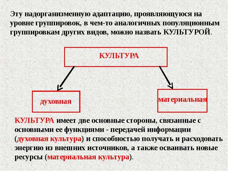 Уровень группировки. Надорганизменные уровни организации. Надорганизменные уровни жизни. Вид надорганизменная система. Надорганизменный уровень жизни.