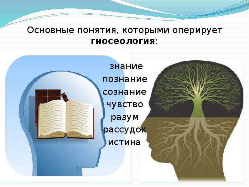 Познавать знания. Сознание познание знание. Сознательное познание это. Познание и знание. Сознание и познание в философии.