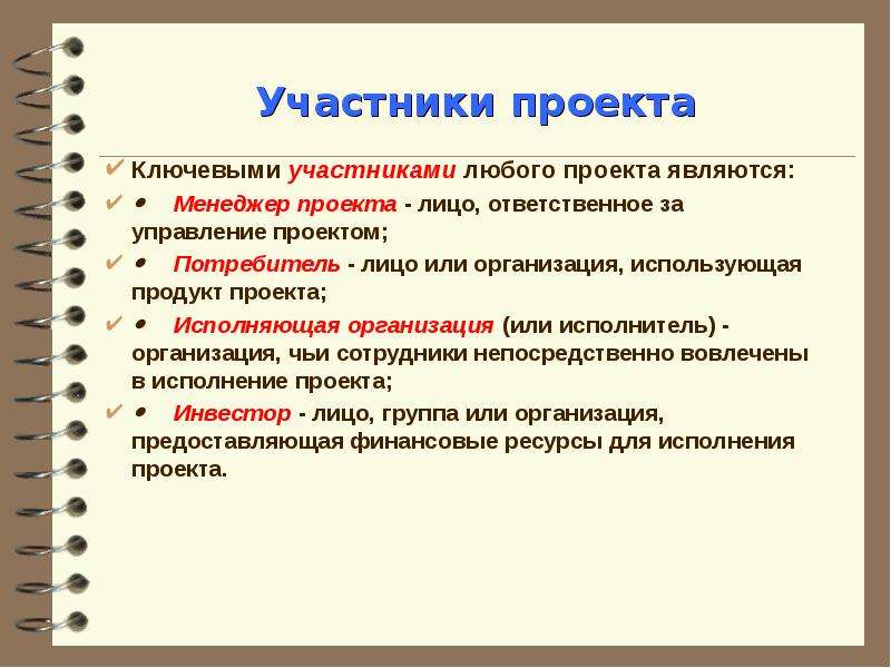 Участники команды проекта принимающие участие в управлении проектом