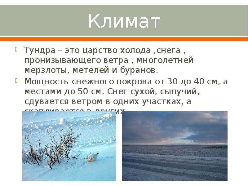 Тундра осадки в год. Климат тундры. Климат тундры в России. Климатические условия тундры. Климат тундры летом.