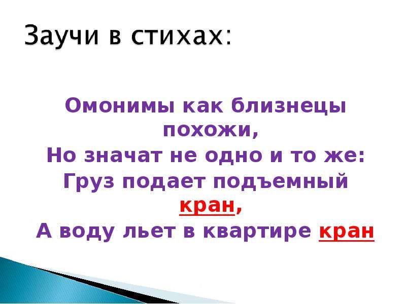 Слово близнец. Слова Близнецы. Слова Близнецы омонимы. Слова двойники омонимы презентация. Омонимы слова двойняшки.