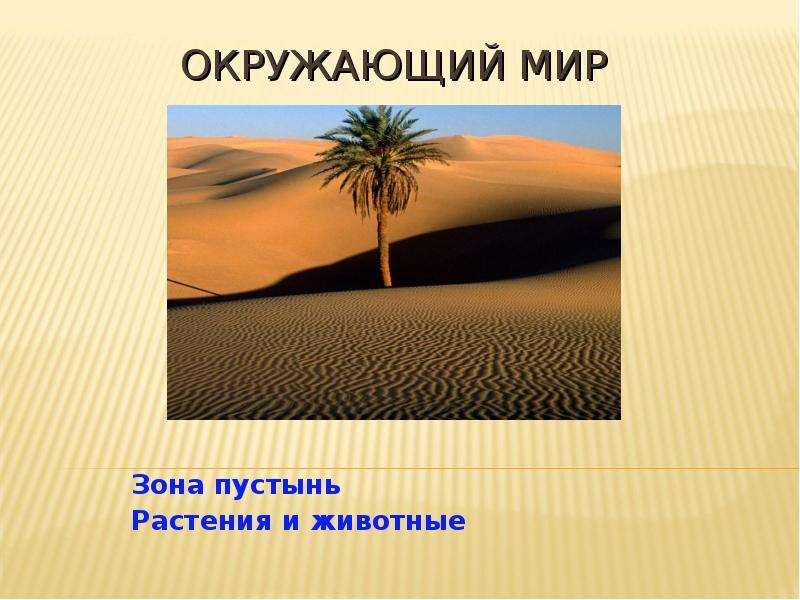 Зона пустынь 4 класс окружающий мир. Растения зоны пустынь. Зона пустынь животные и растения. Природная зона пустыня растения. Комнатные растения зоны пустынь.