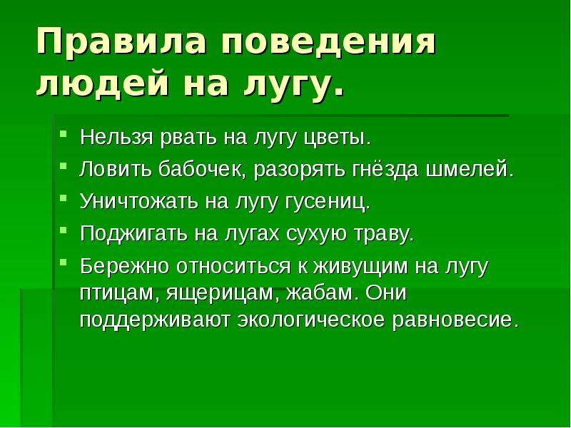 Презентация луга 4 класс. Презентация на тему жизнь Луга. Правила поведения на лугу. Правило поведения на лугу. Жизнь Луга 4 класс презентация.