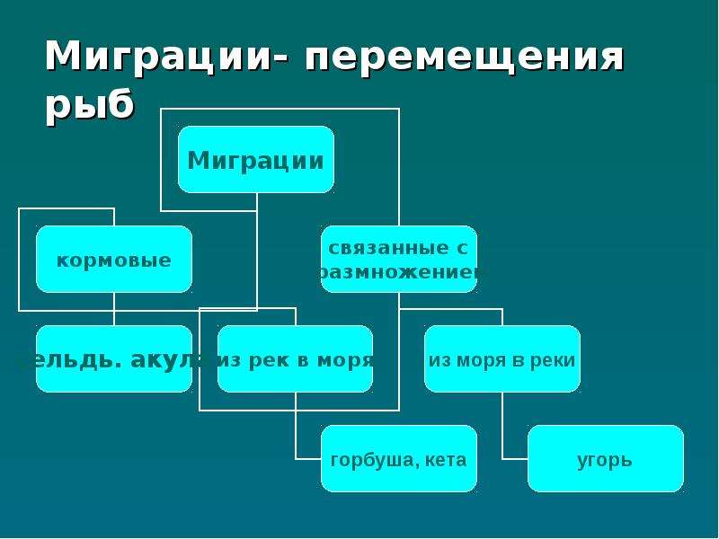 Используя информационные ресурсы подготовьте презентацию проекта