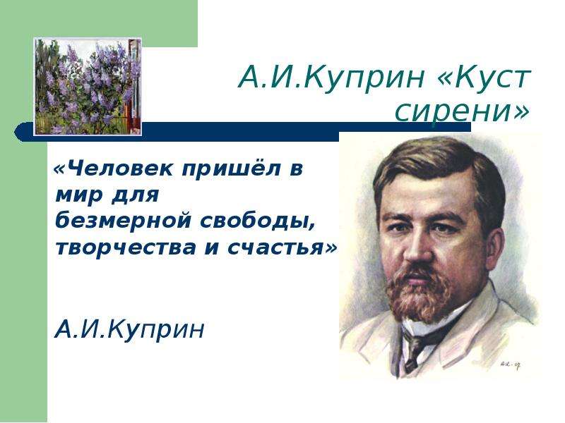 Куст сирени цитатный план