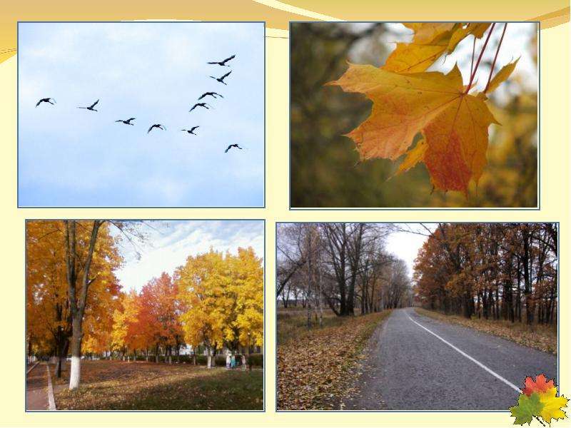 Осеннего неживой природы. Явления осени. Осень сезонные изменения. Сезонные явления природы осень. Сезонные изменения в природе осень.