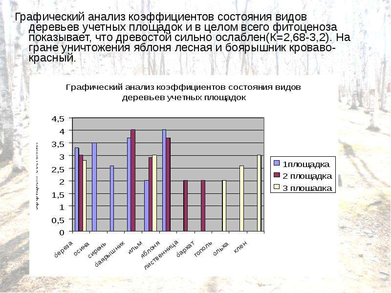 Сильно ослабленные деревья коэффициент. Графический анализ растений. Графический анализ предложения. Графическая работа анализ.