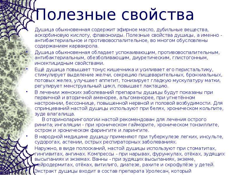 Свойства душицы. Душица полезные свойства. Душица свойства. Полезные свойства душицы кратко. Душица лечебные свойства и применение.