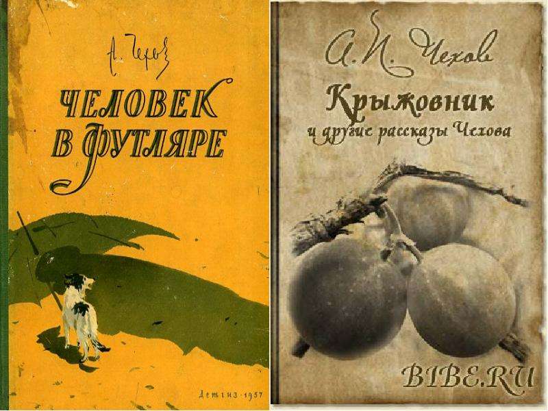 Рассказы 8. Рассказы Бунина. Бунин известные произведения. Произведения Бунина самые известные для детей. Бунин сверчок иллюстрации.