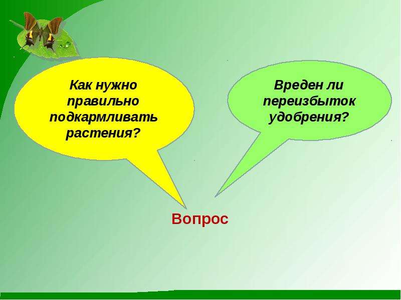 Отличия питания растений от животных. Минеральное питание животных. Элементы минерального питания растений. Минеральное питание растений 6 класс. Площадь питания растений.